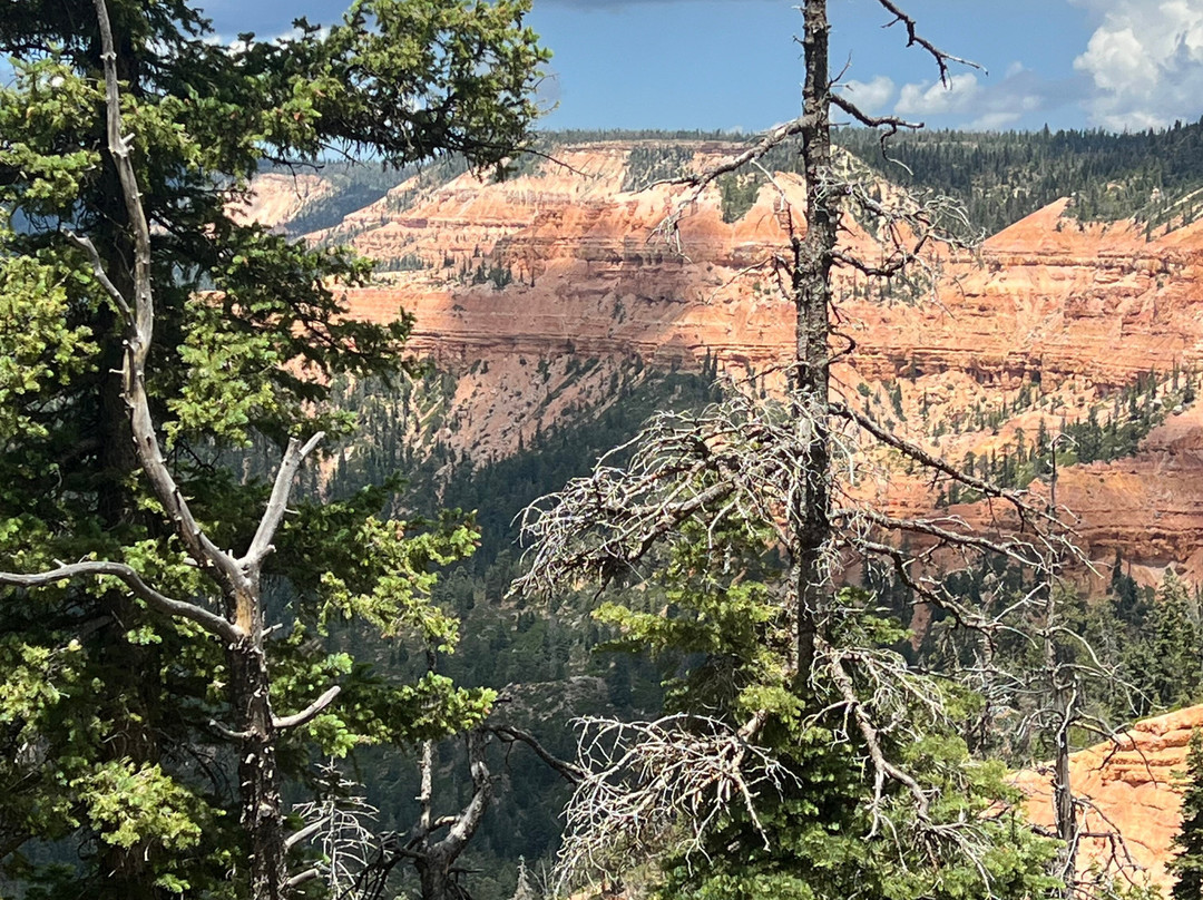 Duck Creek Adventures-Duck Creek Village必去景点