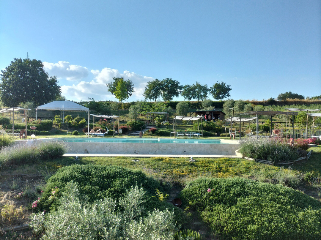 Agriturismo San Silvestro主图