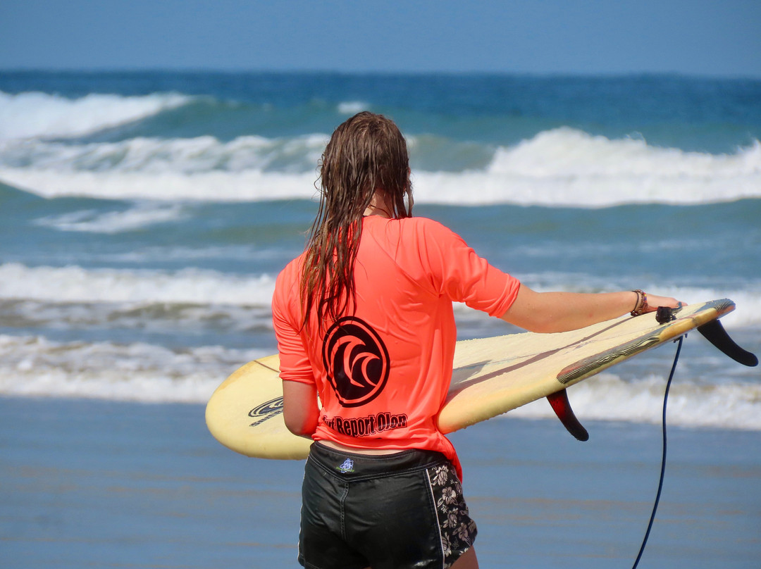 Surf Report Olon景点图片