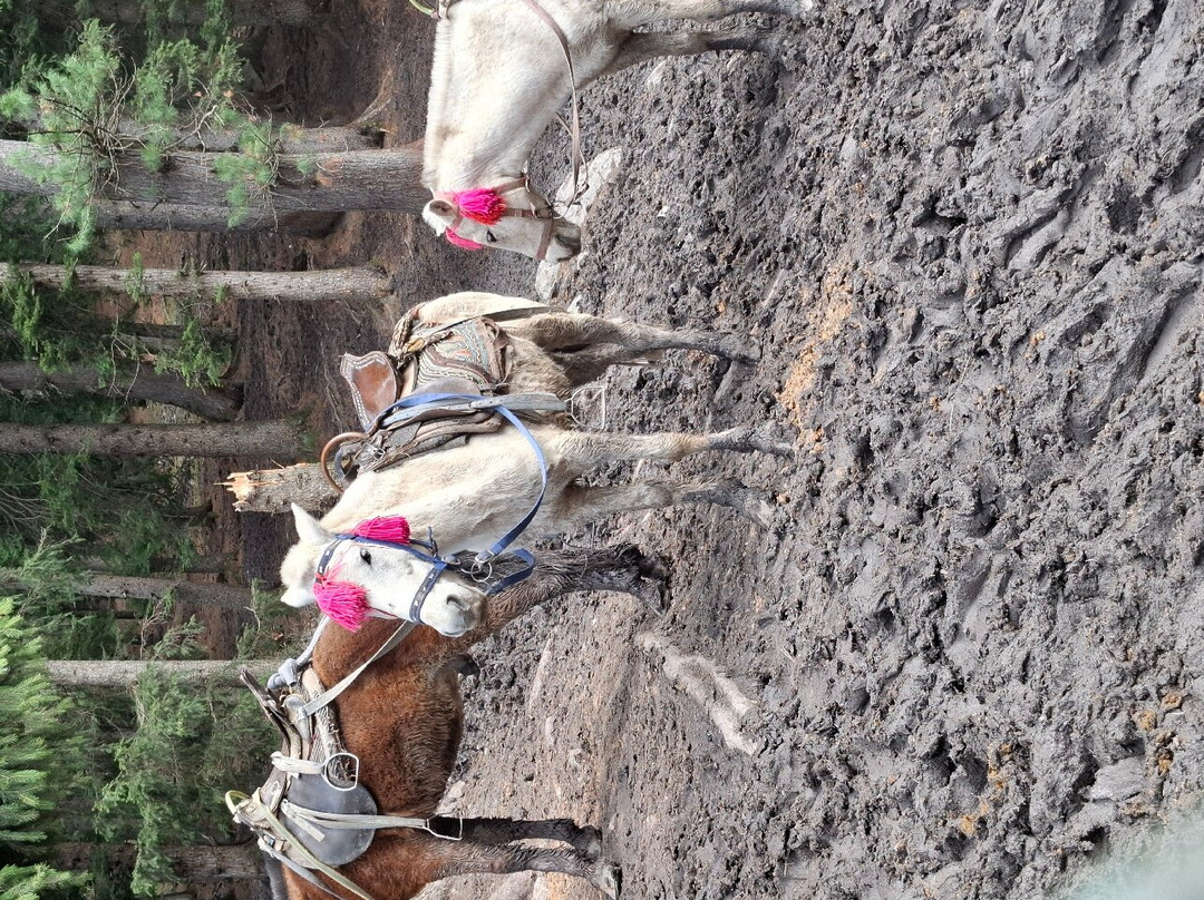 Baisaran-Anantnag District必去景点