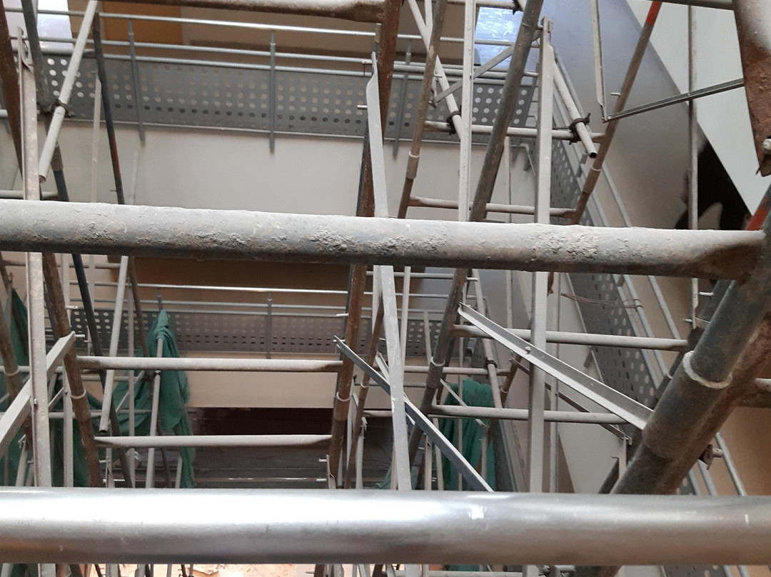 姜果阿酒店主图