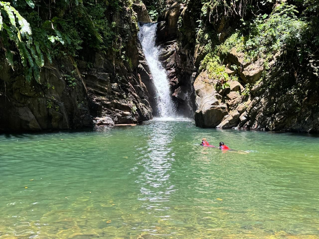 Nature Trekking-特立尼达和多巴哥必去景点