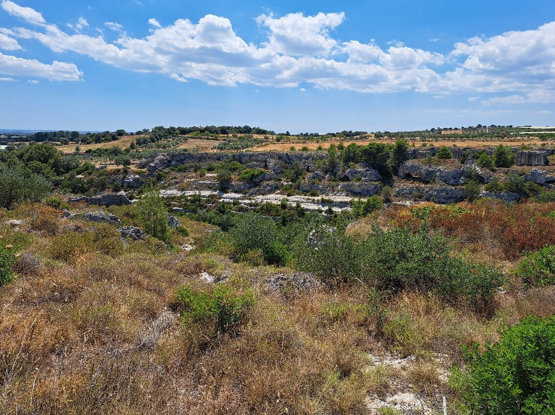 Gravina di Riggio-Grottaglie必去景点
