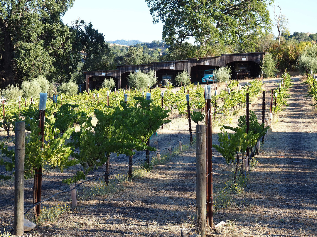 Dubost Winery景点图片