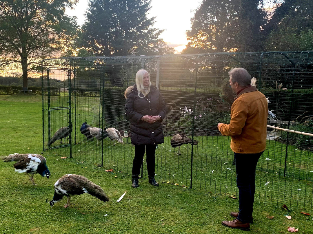 Peacocks Uk-Kempsey必去景点