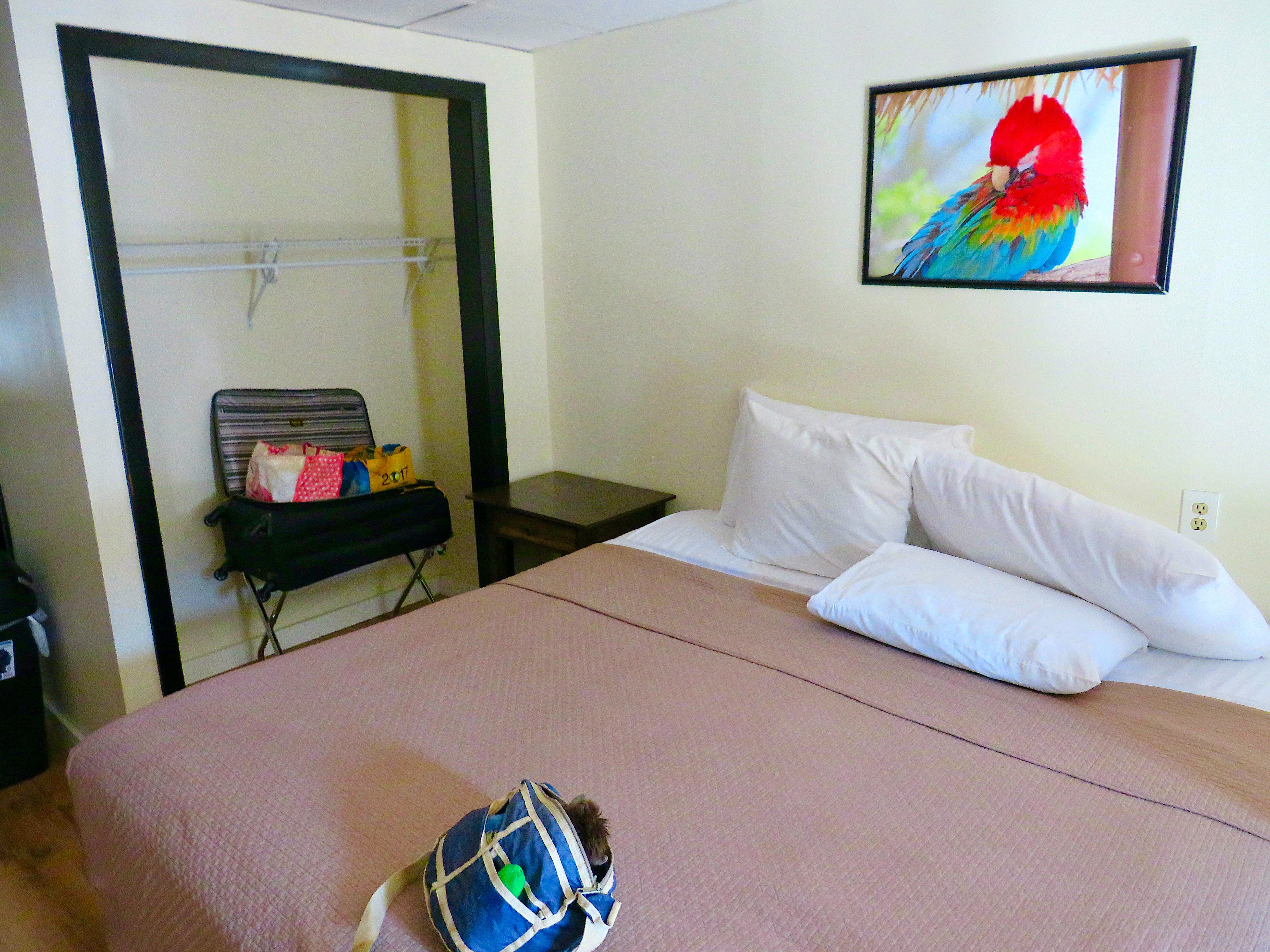 Colonial Inn Ellsworth-客卧