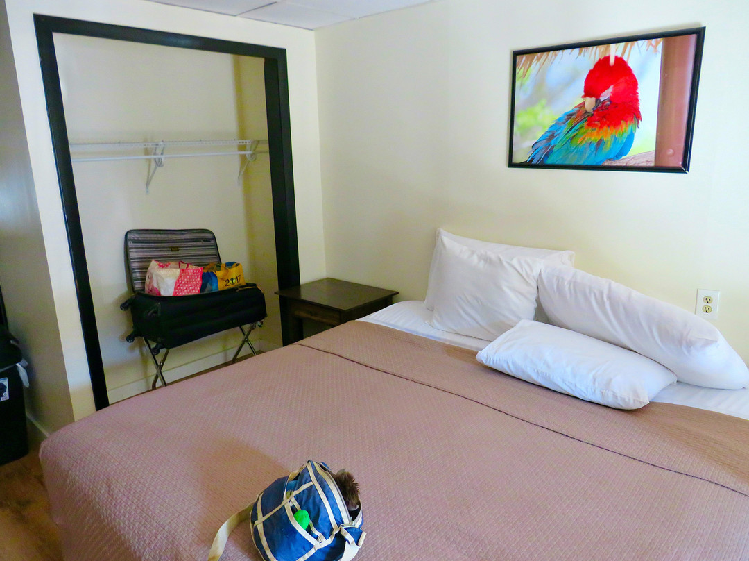 Colonial Inn Ellsworth主图