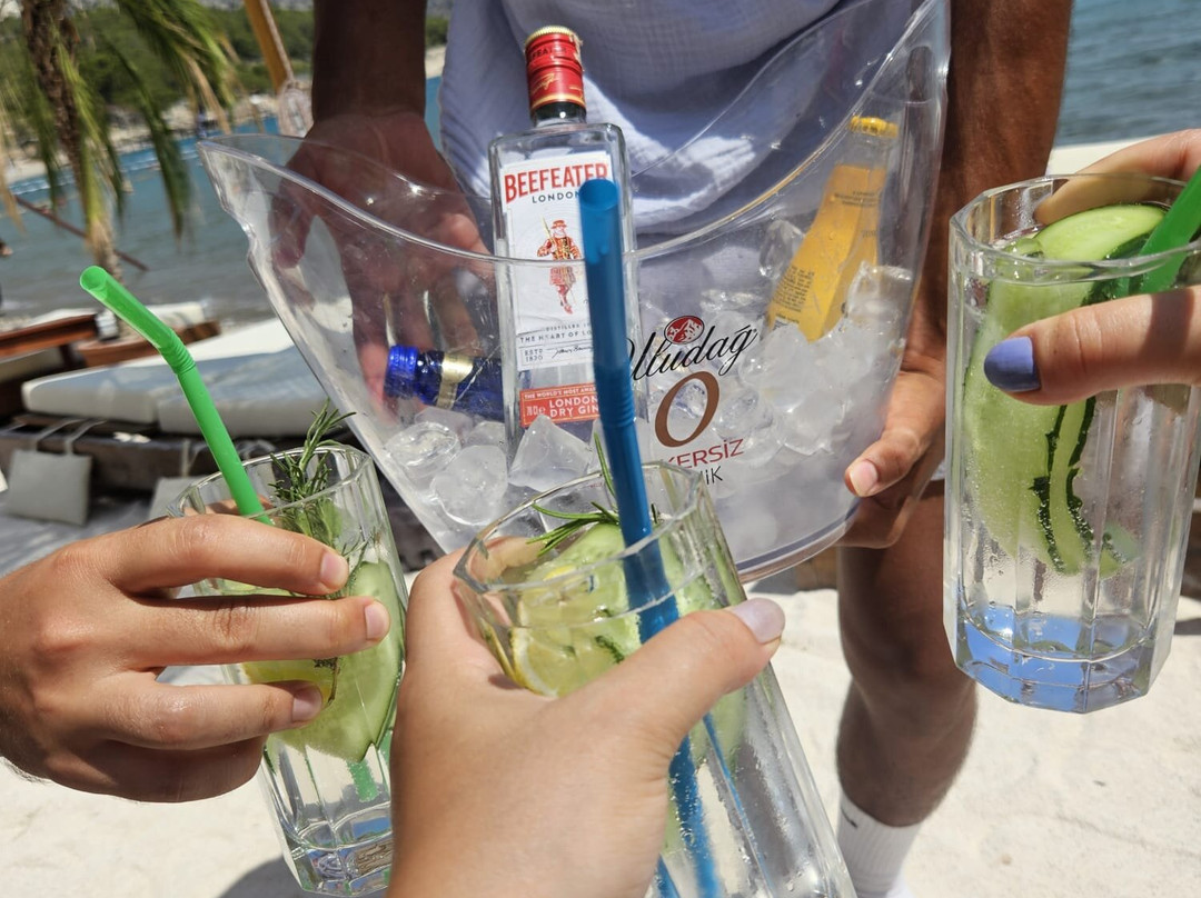 Supple Beach Club景点图片