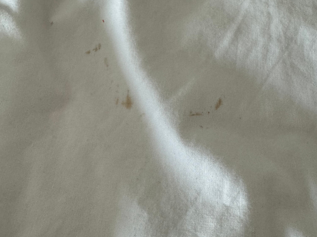 Best Western Plus Sparks-Reno Hotel主图