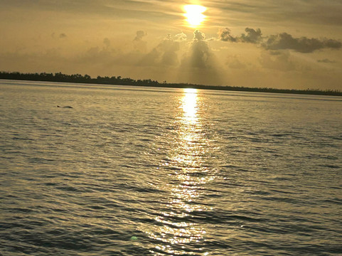 Sight Sea-R Cruises-迈尔斯堡海滩必去景点