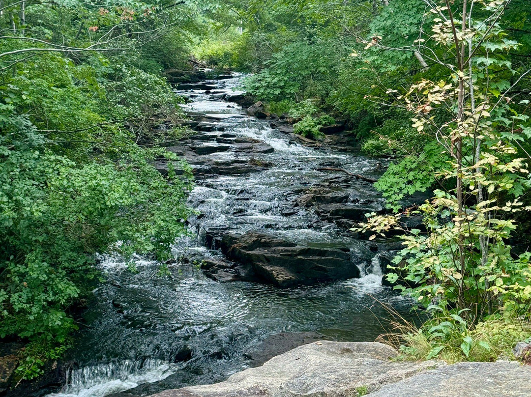 Duck Brook Bridge-巴港必去景点