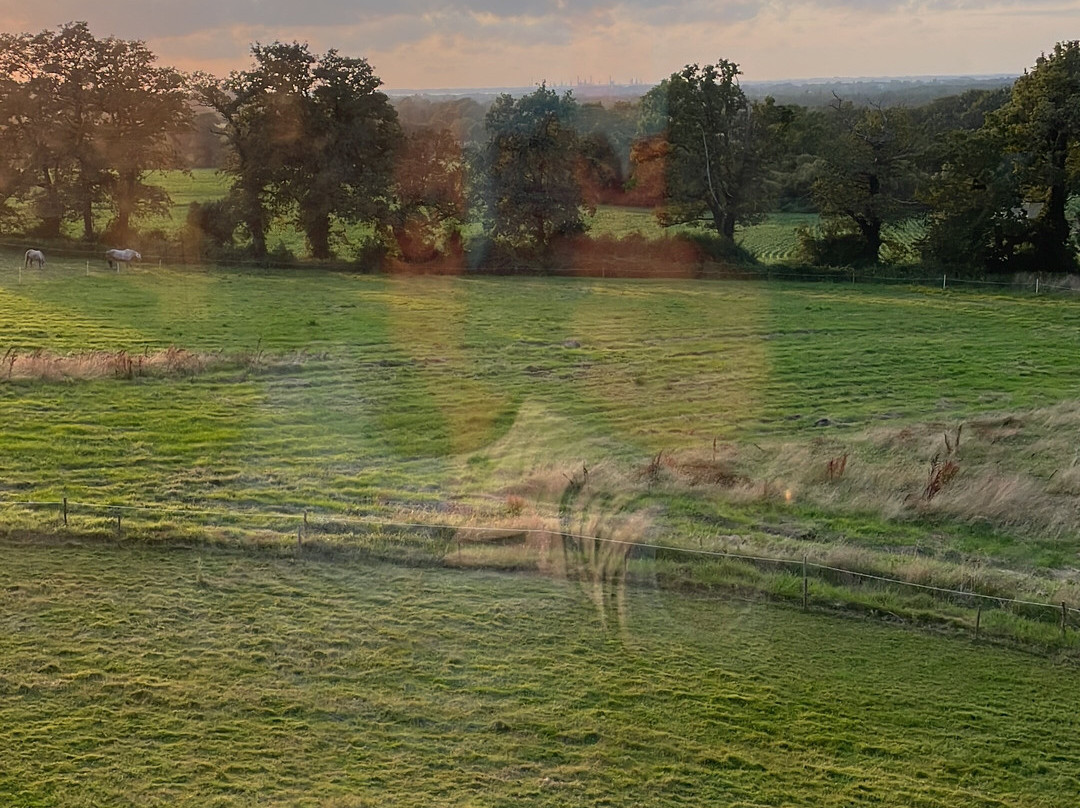 Le Plessis Grimaud主图