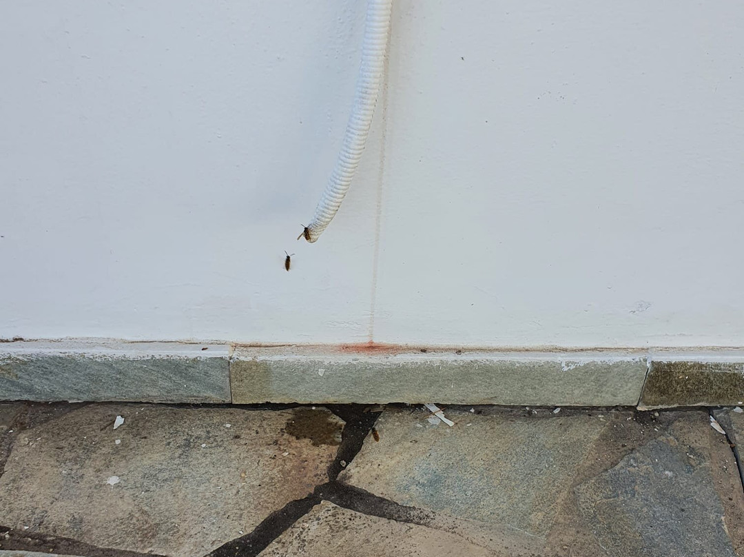 Paleochori Studios主图