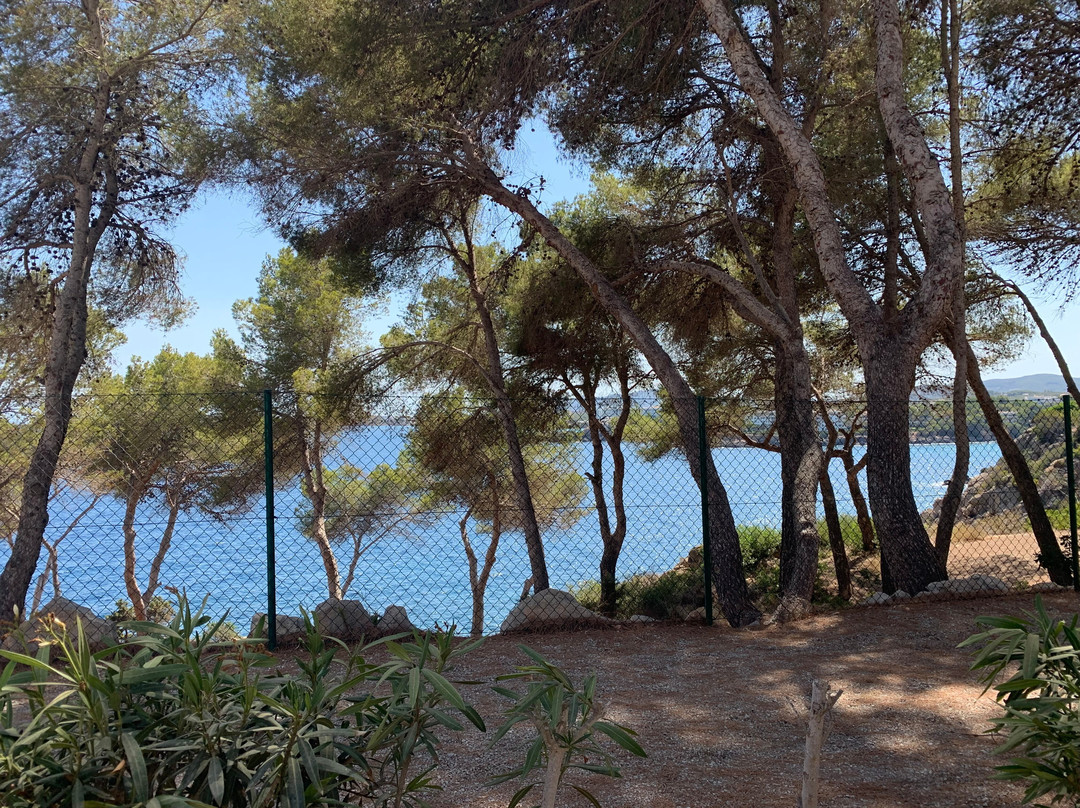 Club Cala Azul主图