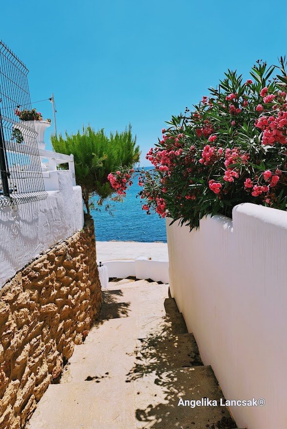 Hotel Mongibello Ibiza-泳池