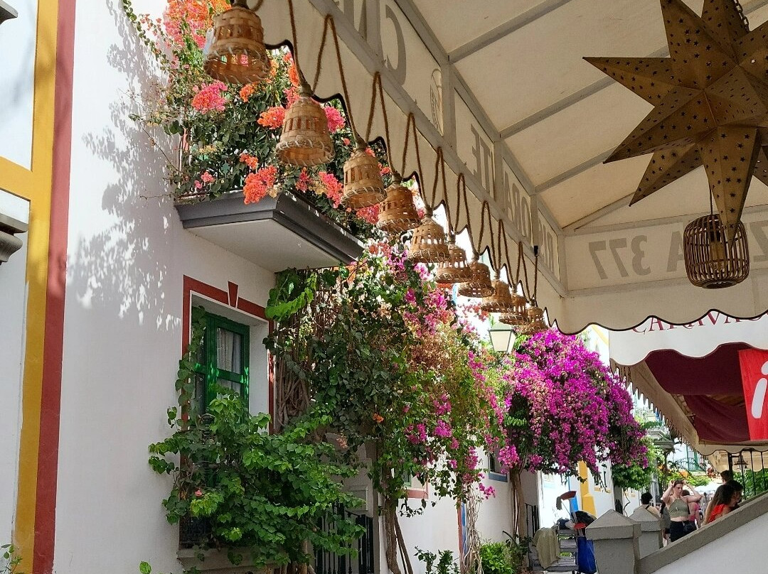 Mercadillo de Mogan景点图片
