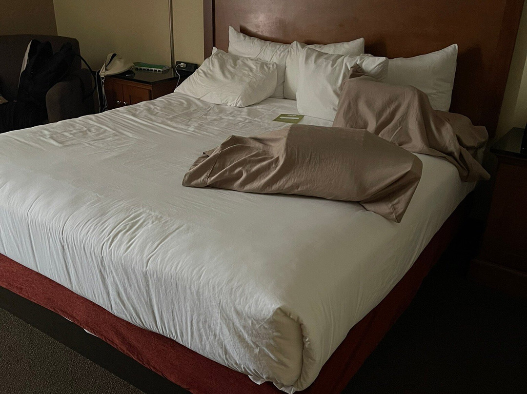Drury Inn & Suites Springfield, MO主图