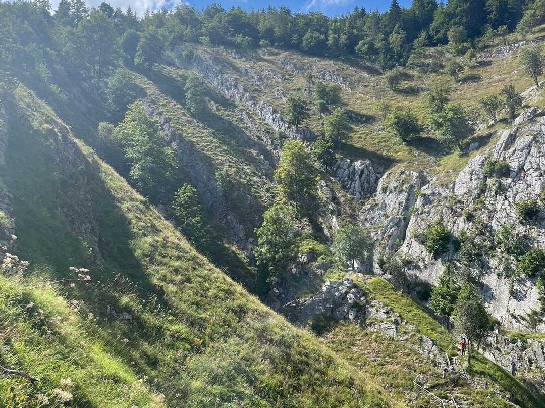 Source de la Saine景点图片