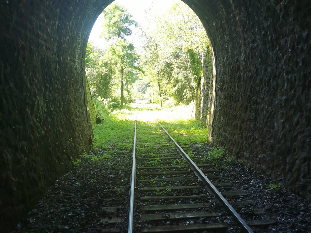 Velorail les draisines du pays de Mauriac-Drugeac必去景点