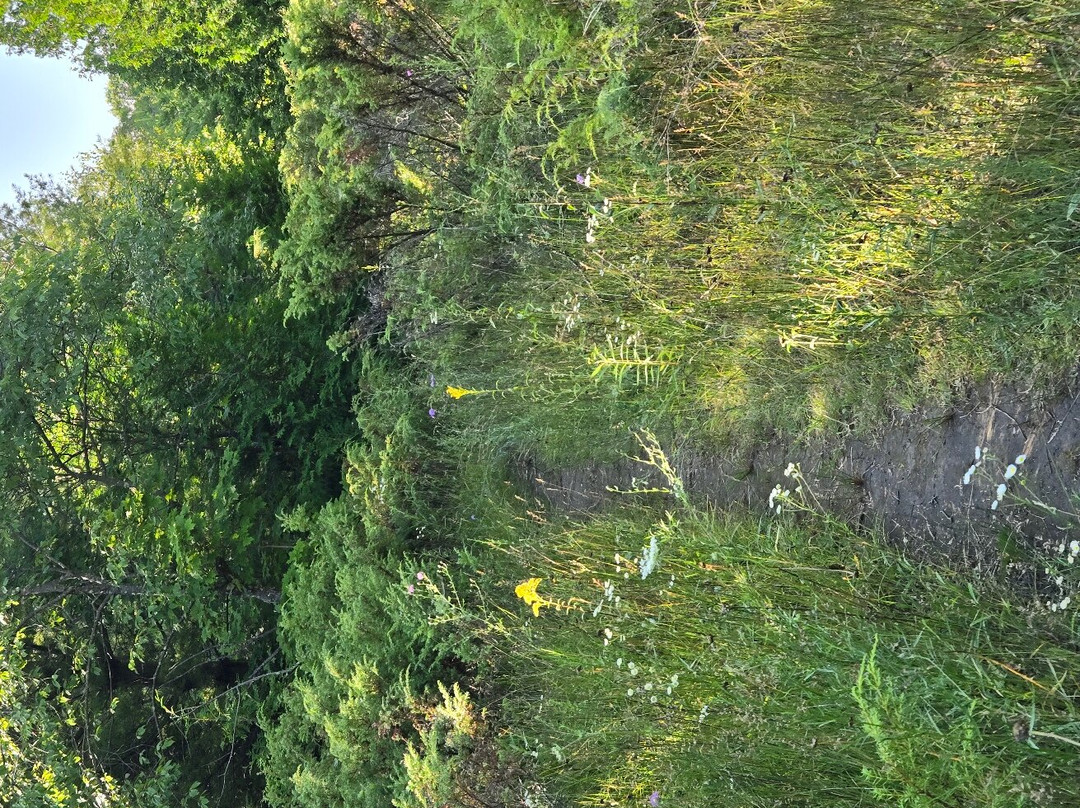 Kangaroo Lake Nature Preserve-Baileys Harbor必去景点