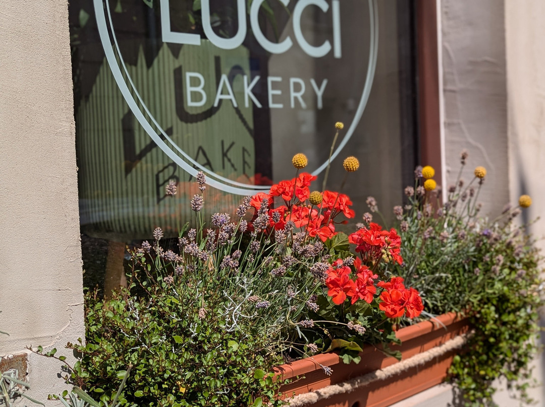 Lucci Bakery