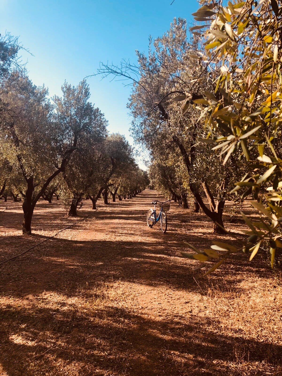 TerreAmare Agriturismo-浴室