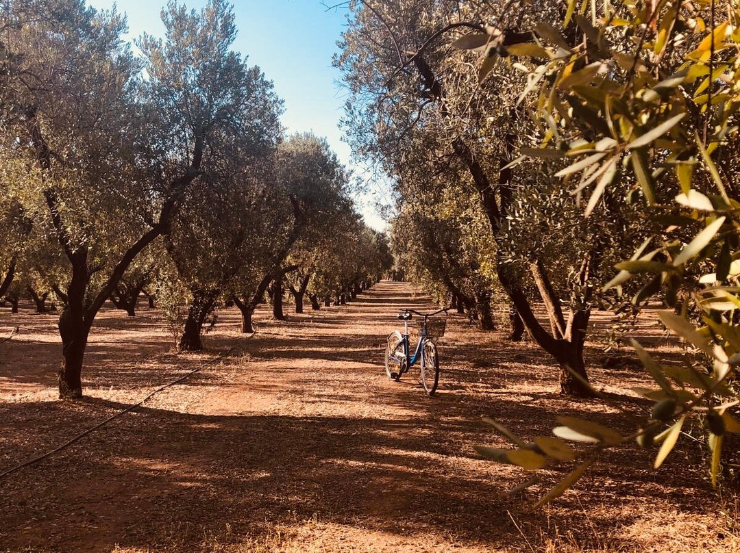 TerreAmare Agriturismo主图