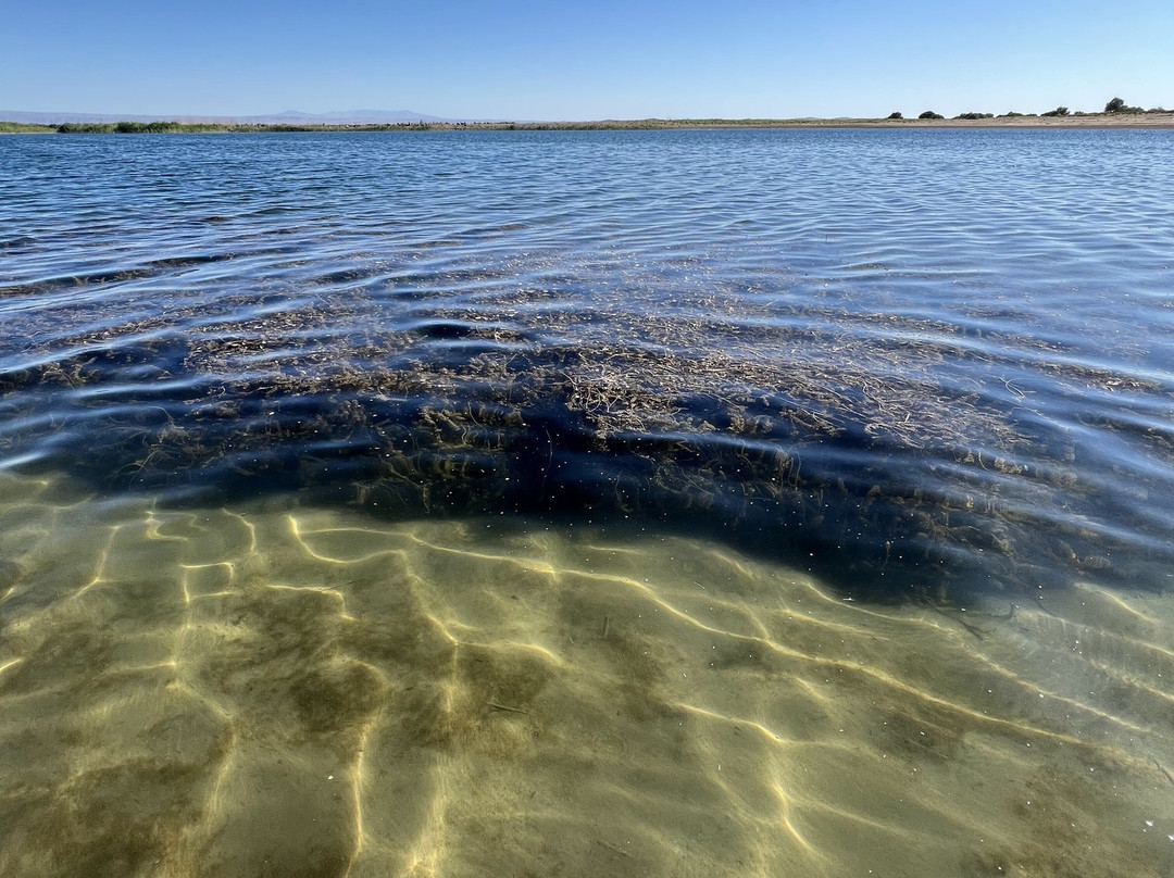 Aydar Lake-Jizzakh Province必去景点
