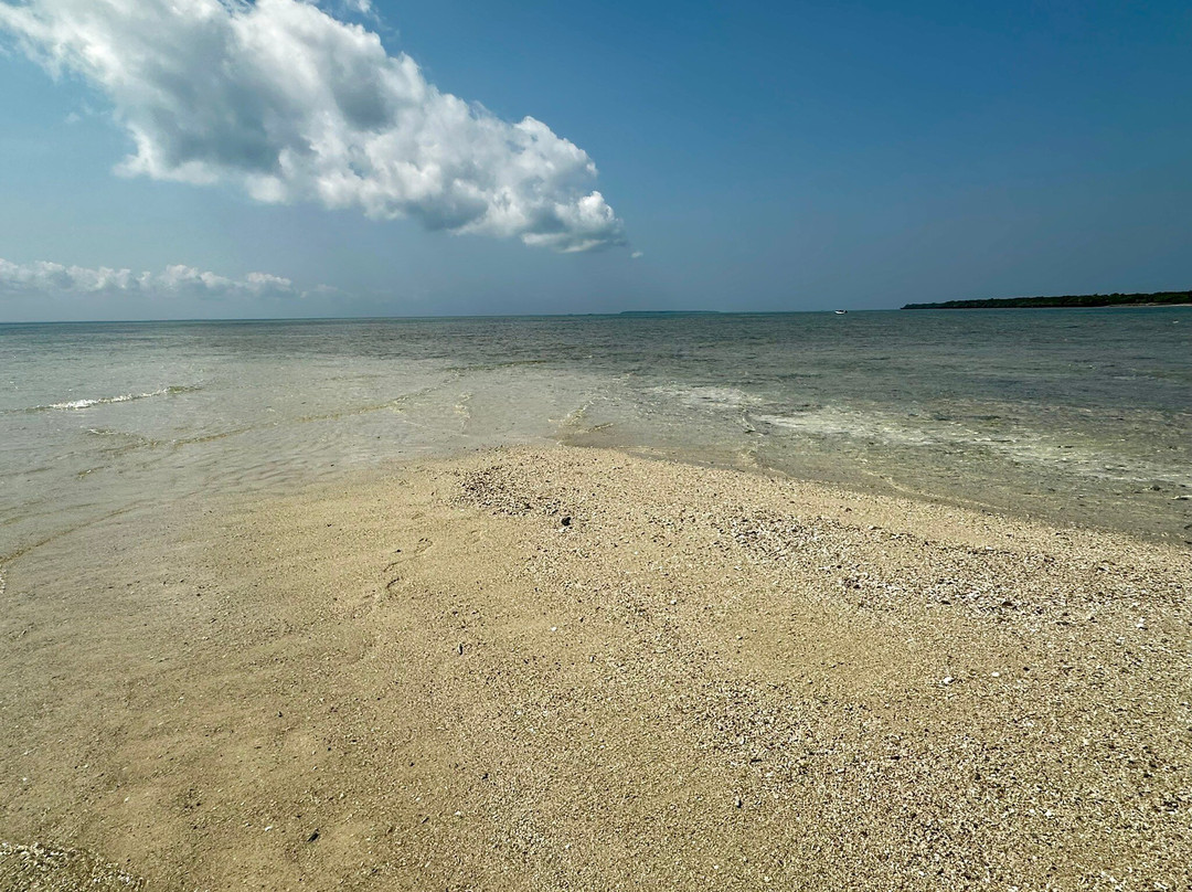 Ramso Zanzibar Tour-帕杰必去景点
