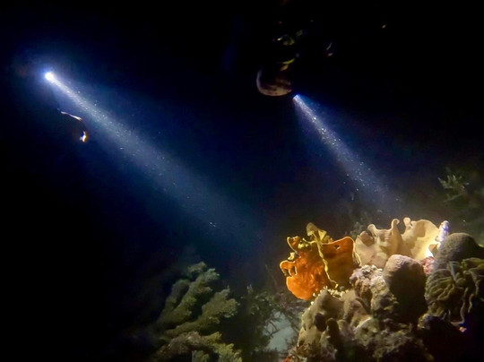 La Galigo Liveaboard-科莫多必去景点