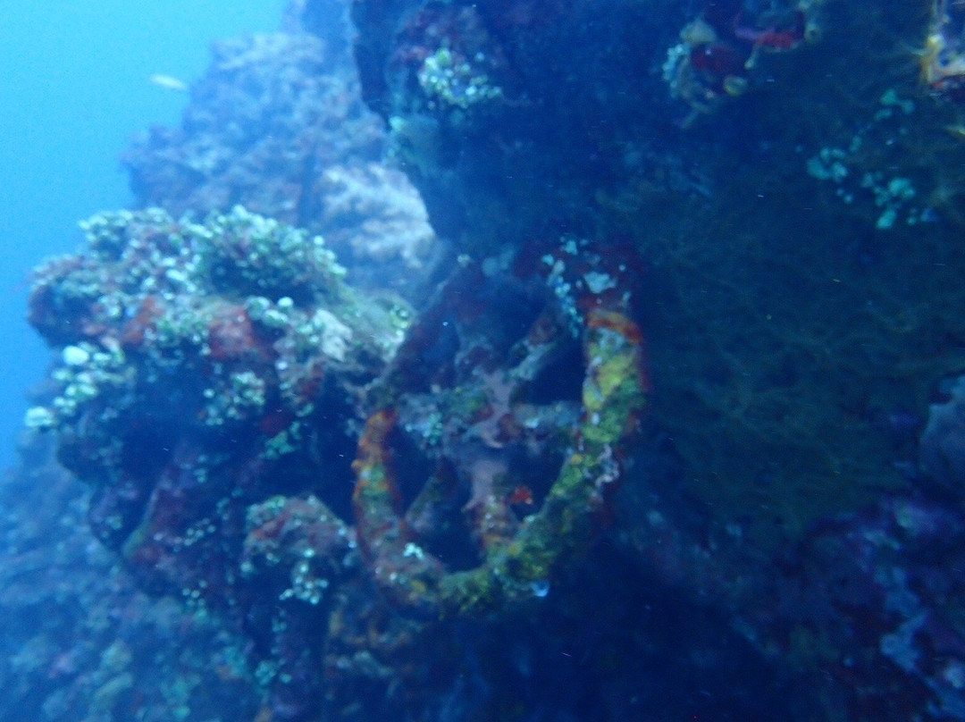 Baliberty私人潜水之旅-沙努尔必去景点