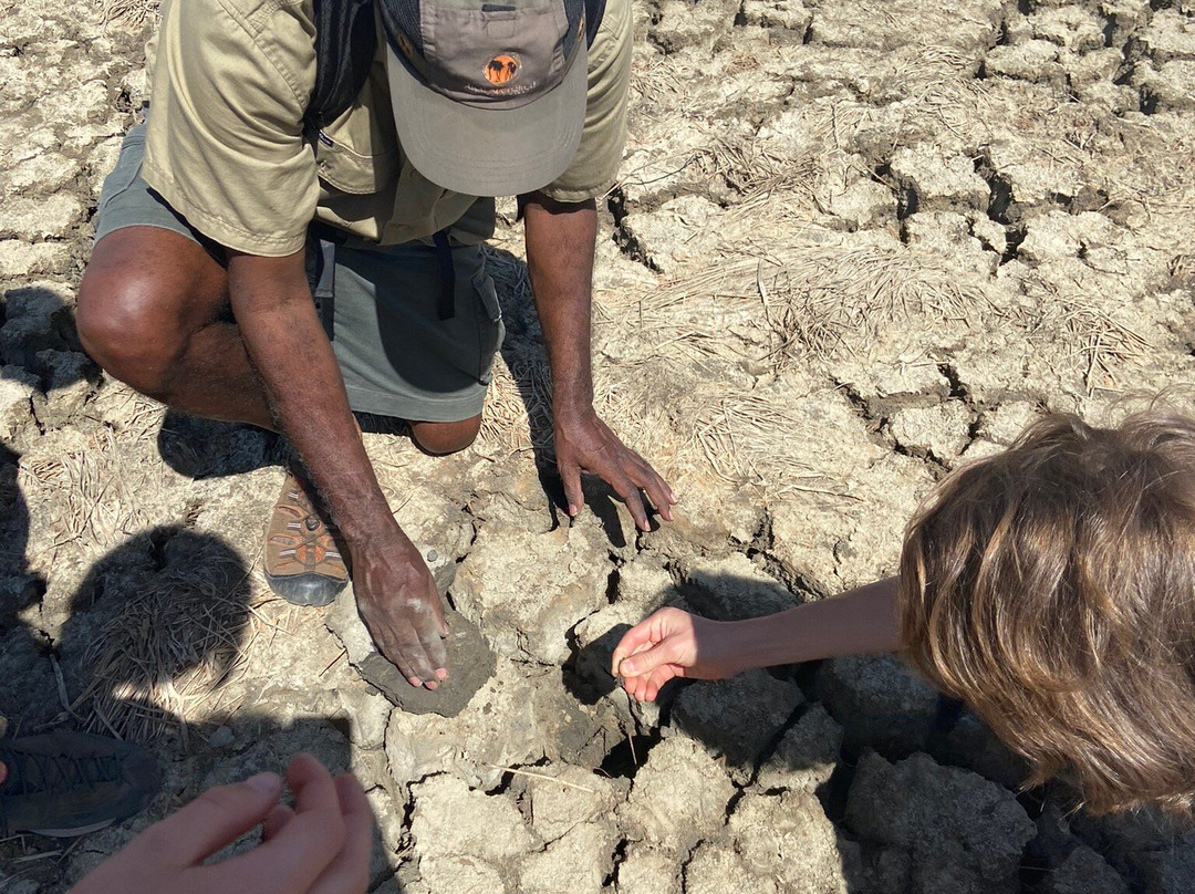 Ayal Aboriginal Tours Kakadu-Jabiru必去景点