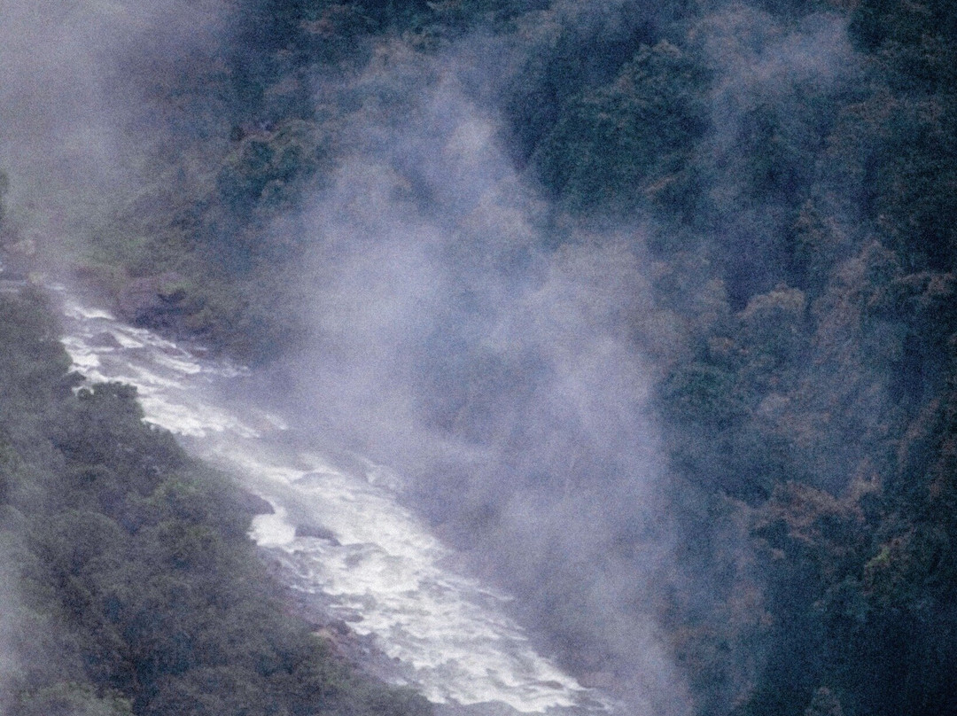 Aranyakam Homestay主图