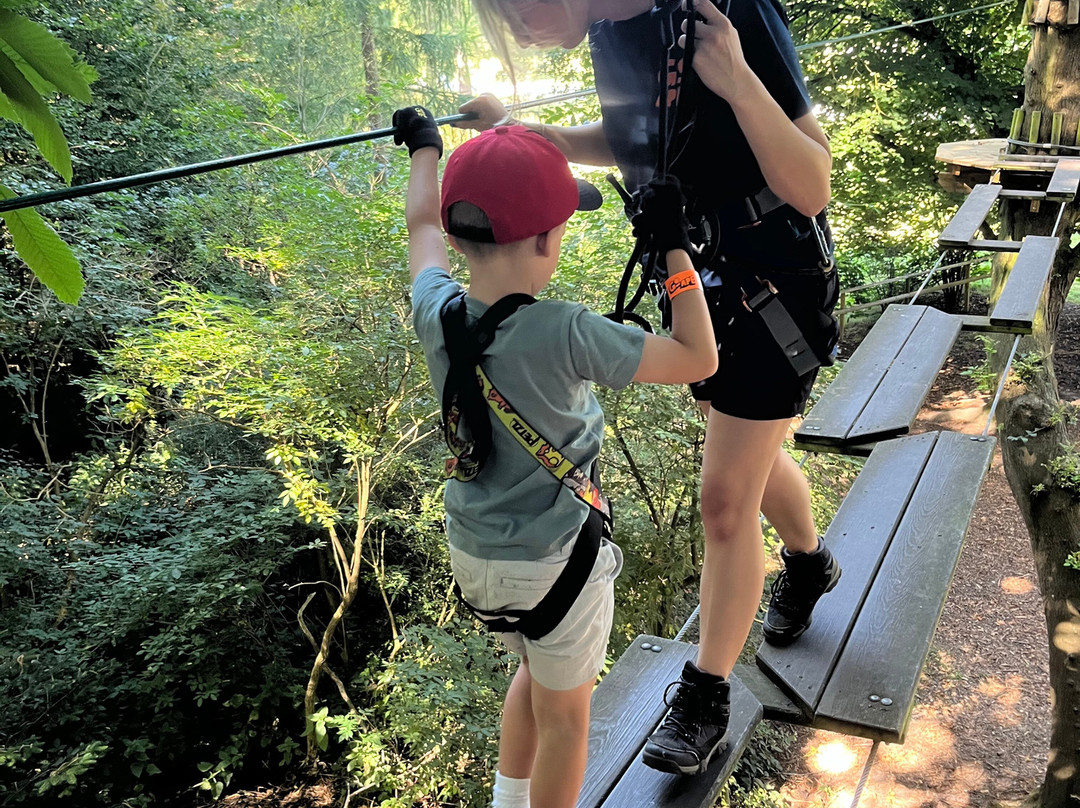 Go Ape Leeds Castle景点图片