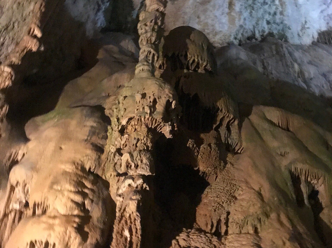 Cueva Del Canelobre景点图片