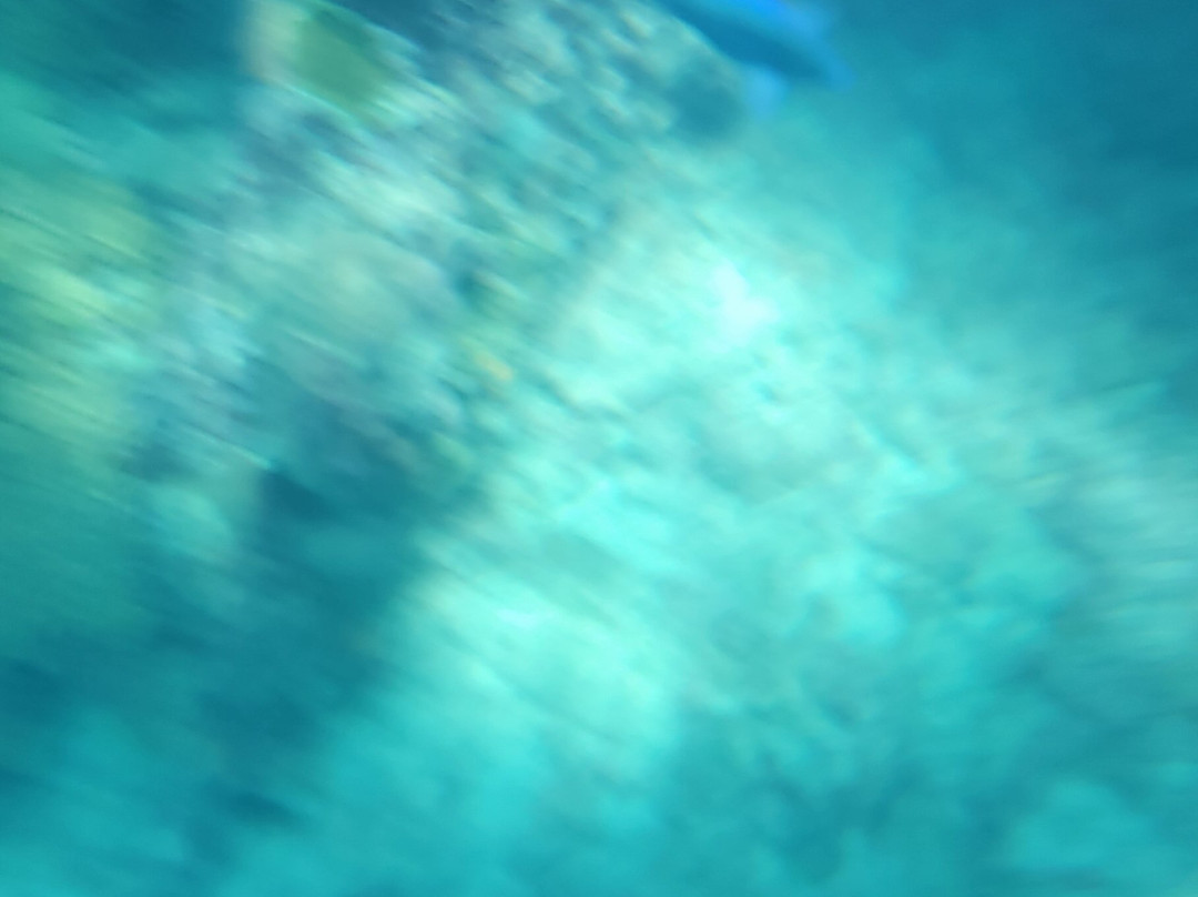 Sapona-Bimini必去景点