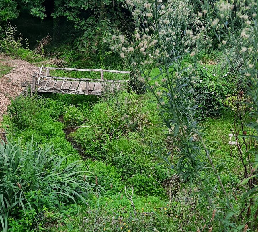 Le Moulin de Meslon主图