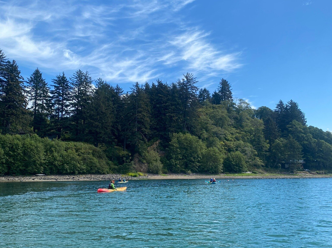 Safari Town Surf Shop-林肯城必去景点