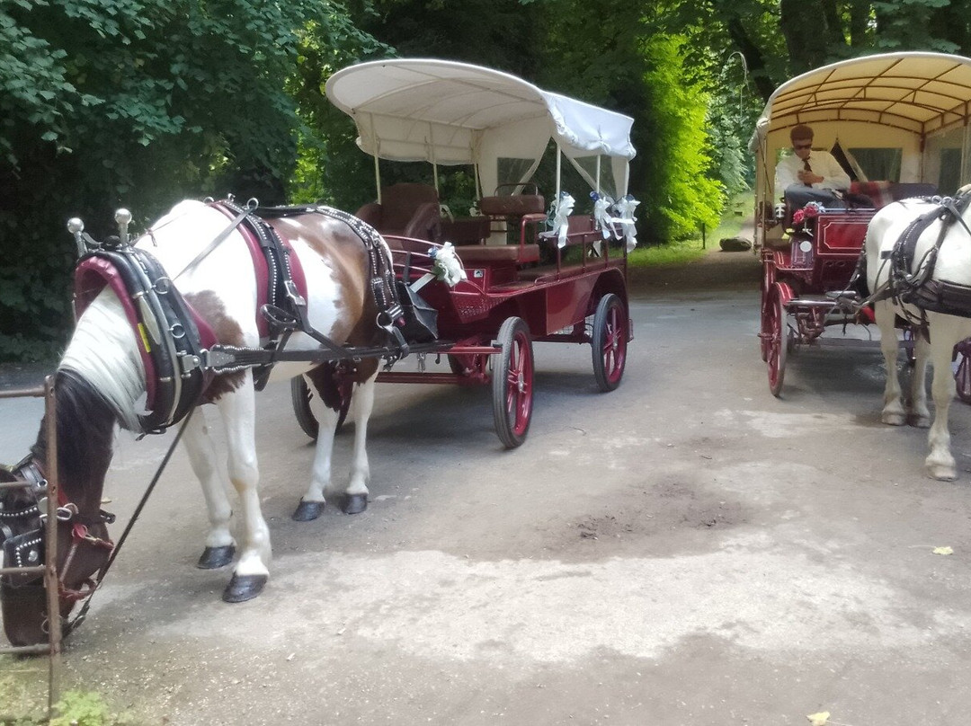 Ross castle carriages