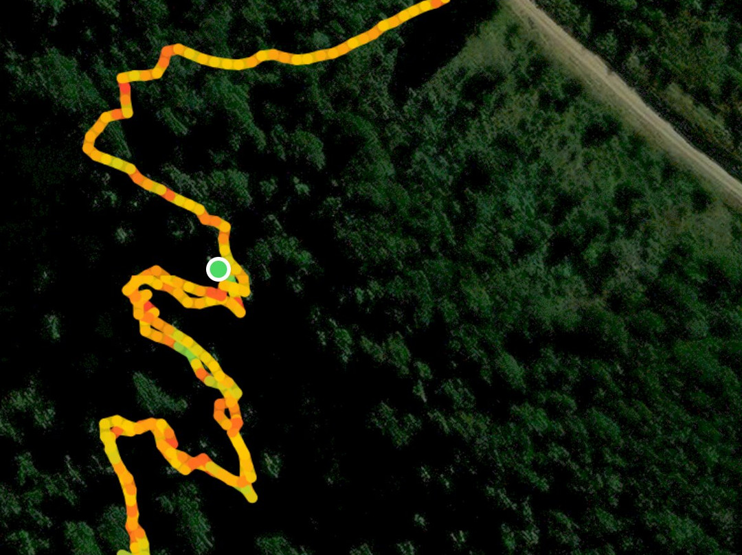 The Labyrinth at The Edge-Hogsback必去景点