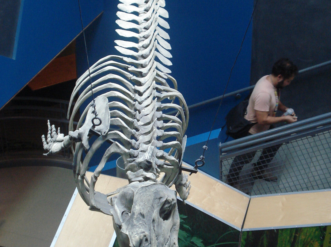 尚普兰湖回声莱希中心-伯灵顿必去景点