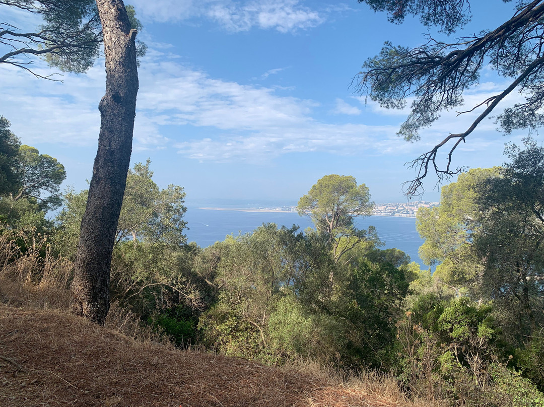 Parc forestier du Mont-Boron景点图片