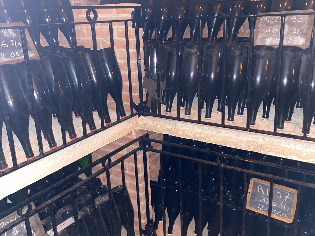 Champagne Philipponnat景点图片