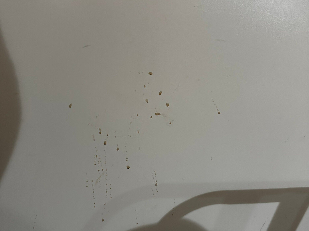 Hilton Garden Inn Appleton/kimberly主图