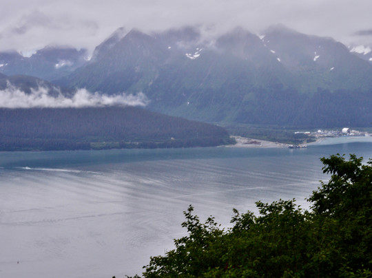 Seward Wilderness Collective-苏厄德必去景点