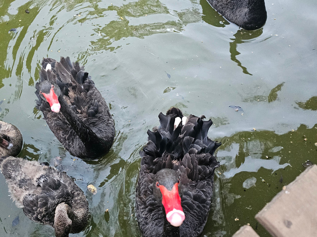 Quiet Mountain Country House主图