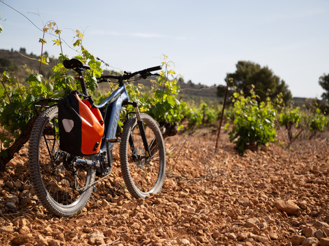 Diania Experiencies-Bocairente必去景点