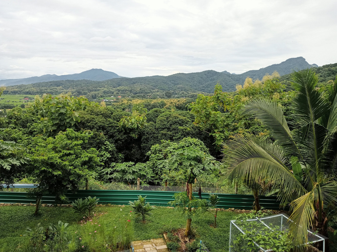 Pua Tranquil Vista Homestay主图