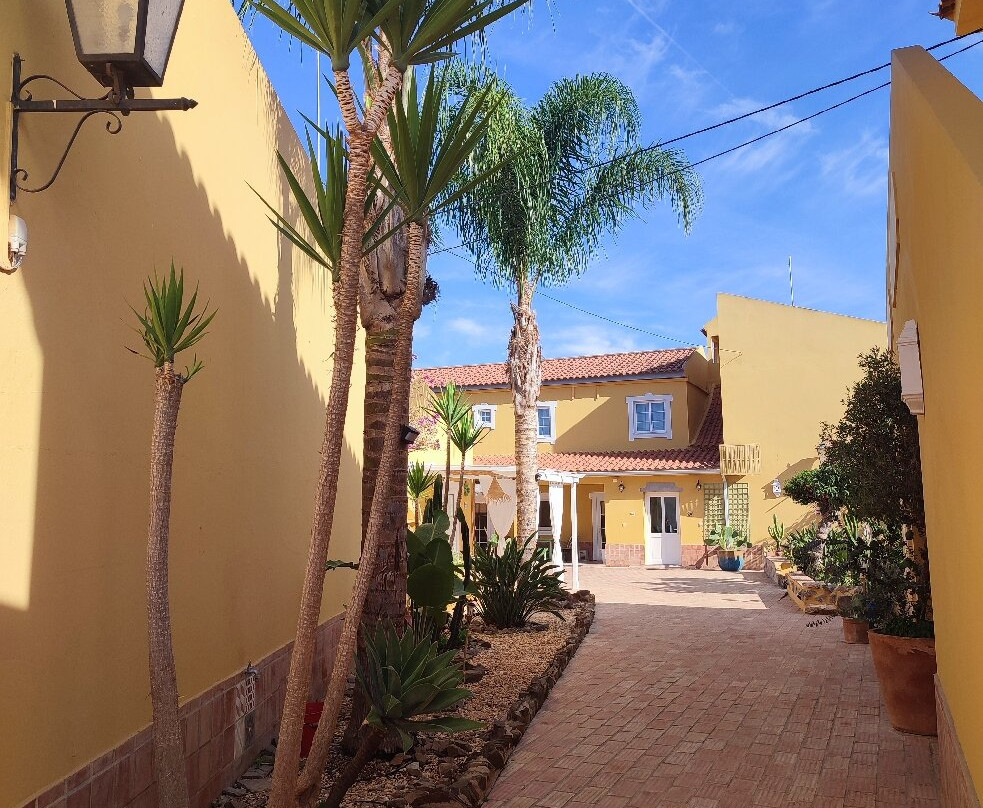 Quinta Almargem Lusitano - Farm House主图