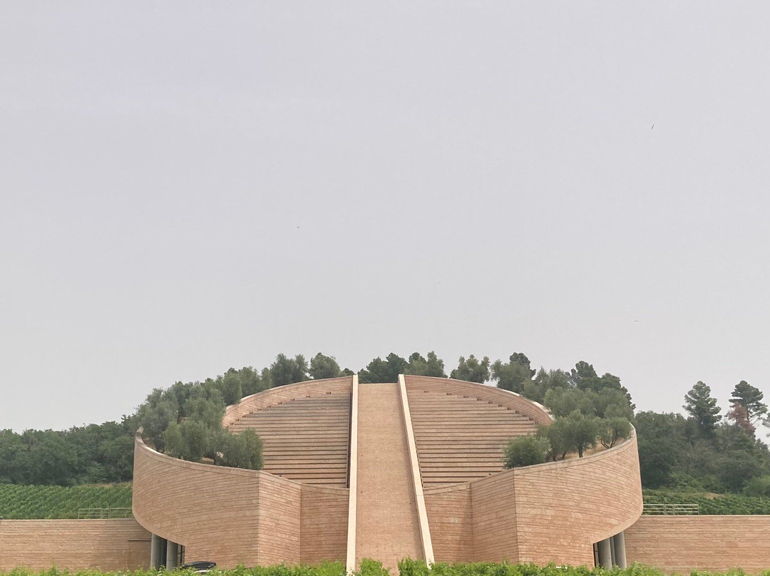 Petra景点图片